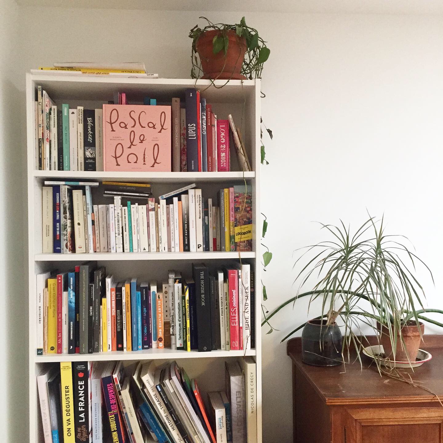 bibliotheque-croquins